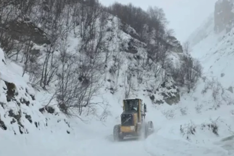 Artvin'de &ccedil;ığ d&uuml;şt&uuml;!