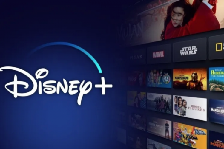 Disney'e 10 milyon dolar gizlilik cezası