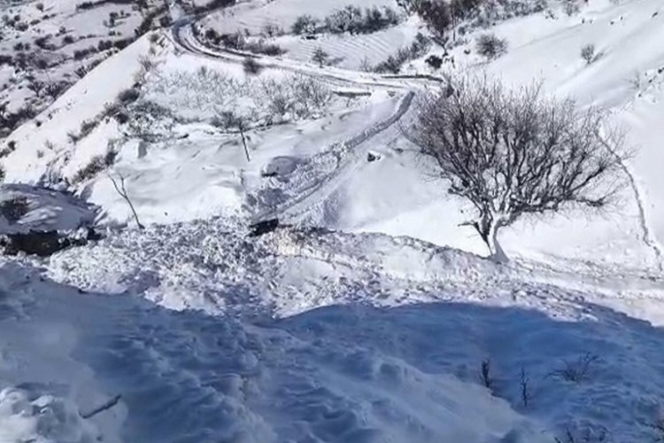 Ahıra &ccedil;ığ d&uuml;şt&uuml;: 44 k&uuml;&ccedil;&uuml;kbaş telef oldu