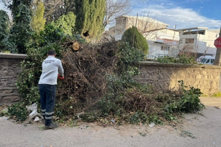 Bursa'da lodosla m&uuml;cadelede y&uuml;zlerce olaya m&uuml;dahale edildi