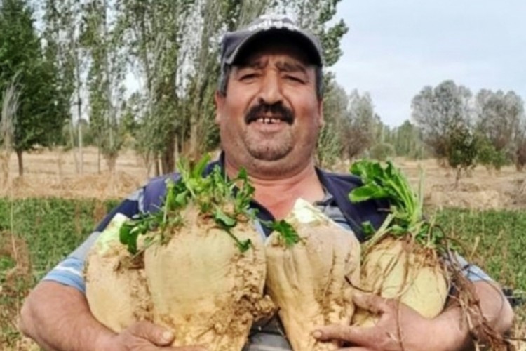 Yeğeninin eski eşi tarafından tabancayla &ouml;ld&uuml;r&uuml;ld&uuml;