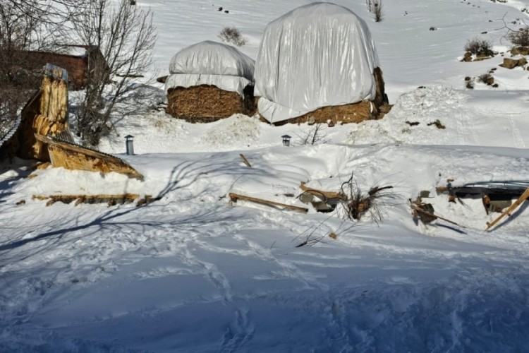 &Ccedil;ığ felaketi: Kar altında kalan k&ouml;ylerde hasar tespiti s&uuml;r&uuml;yor