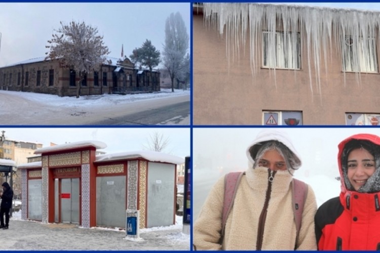 Doğu Anadolu'da 6 ilde dondurucu soğuklar hayatı zorluyor