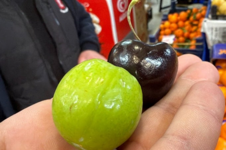 Tanesi 250 liradan satılıyor! Hamileler &ouml;zel ilgi g&ouml;steriyor...