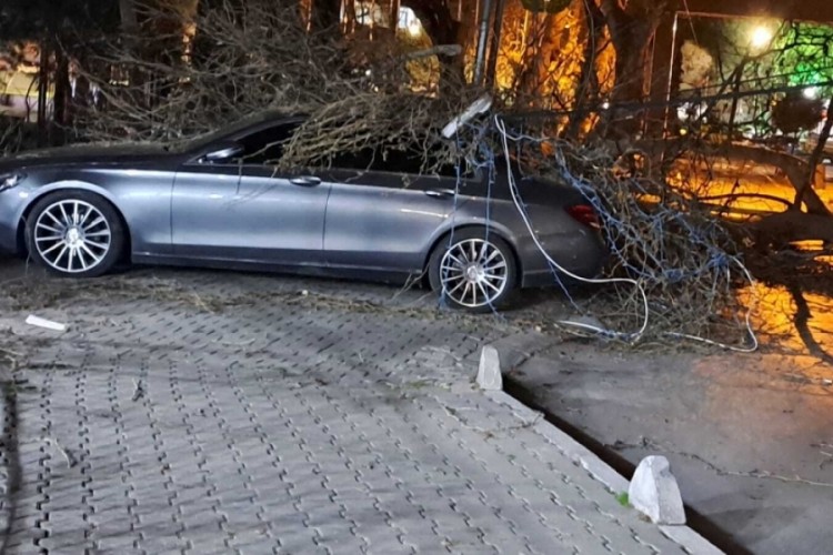 İzmir'de şiddetli r&uuml;zgar: Otomobilin &uuml;zerine ağa&ccedil; devrildi