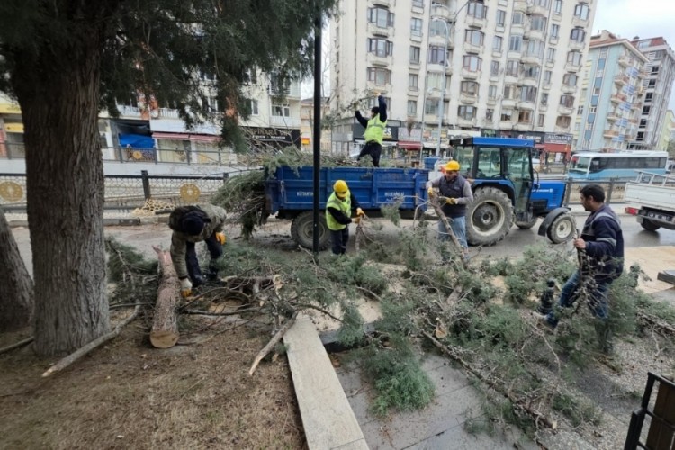 K&uuml;tahya'da fırtına ve aşırı r&uuml;zgar ağa&ccedil;ları devirdi