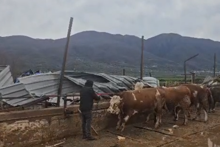 Bursa'da dam parampar&ccedil;a oldu! Hayvanlar a&ccedil;ıkta kaldı