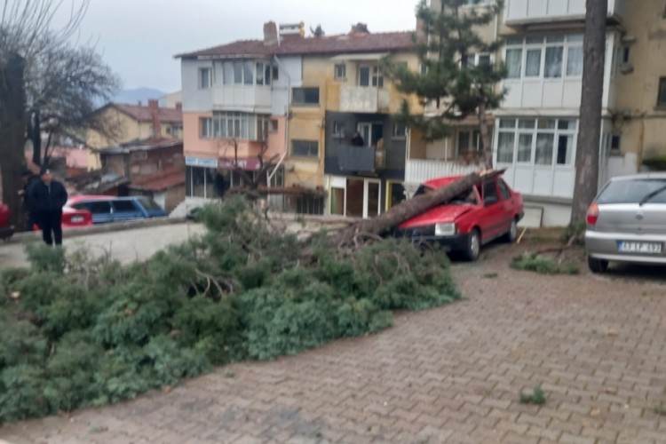 Şiddetli r&uuml;zgar ağa&ccedil;ları devirdi, binalarda hasara sebep oldu