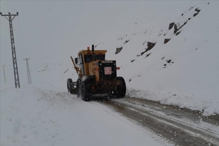 Hakkari'de okullar yarın tatil edildi