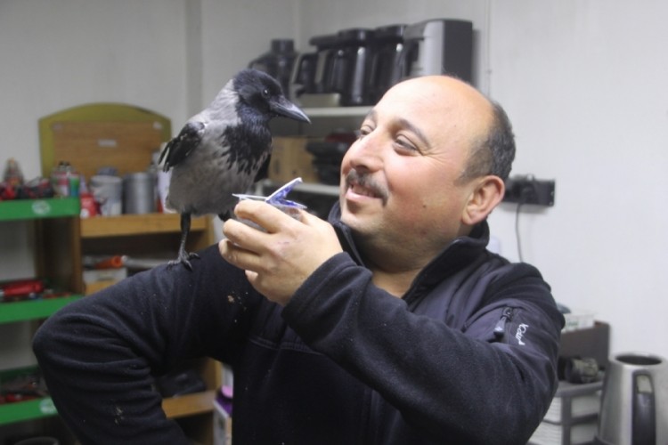 Kargayla &ccedil;ıraklık: Tamircinin sıra dışı iş arkadaşı