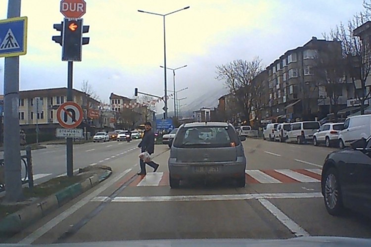 Bursa'da kırmızı ışık dehşeti: Yayanın canı hiçe sayıldı