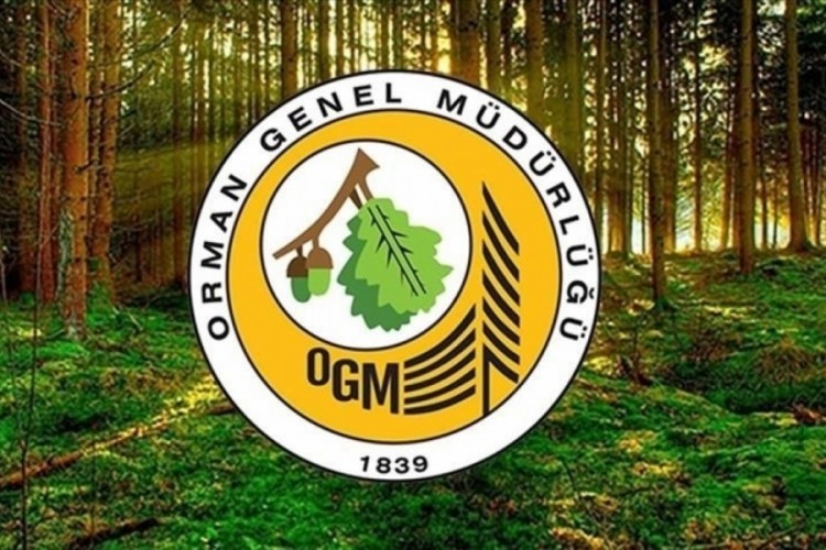 Orman sınırları ve 2/b i&ccedil;in yeni kriterler belirlendi