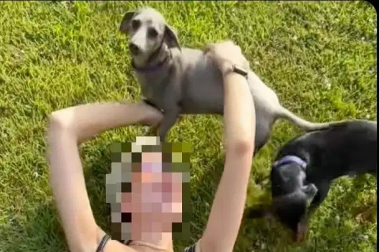 K&ouml;peklerini izinsiz uyutan eski eşini bı&ccedil;akladı