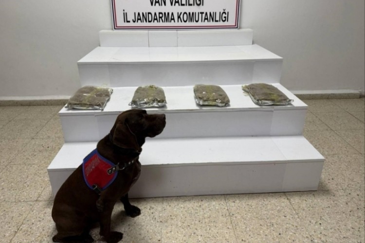 5 kilo 250 gram kubar esrar ele ge&ccedil;ildi