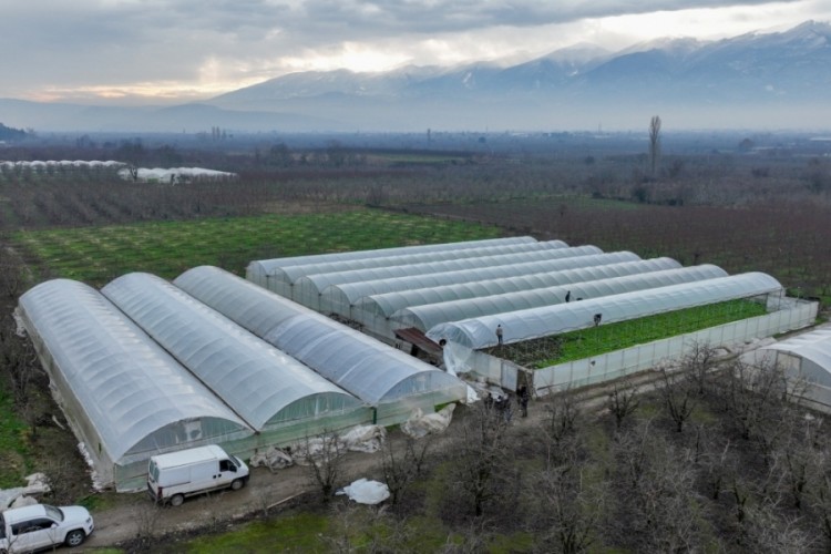 Lodostan zarar g&ouml;ren seralara B&uuml;y&uuml;kşehir desteği