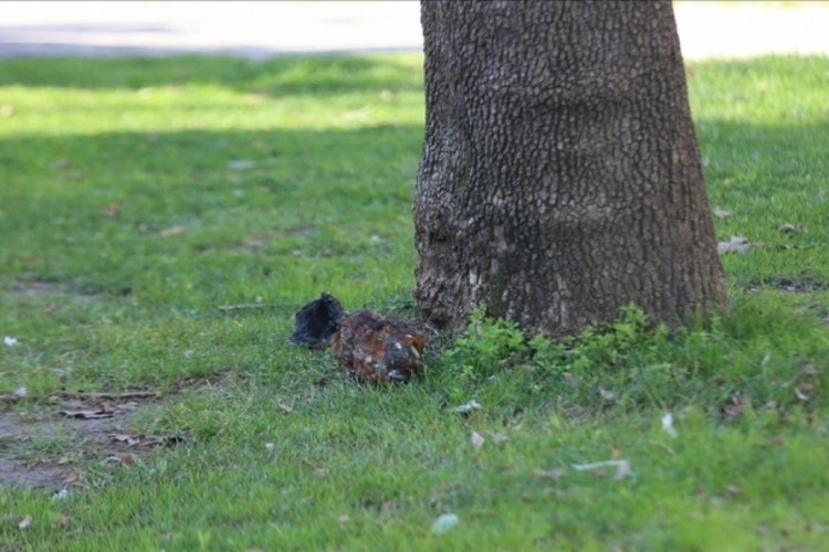 &Ccedil;anakkale'deki &ccedil;ocuk parkında patlamamış m&uuml;himmat bulundu