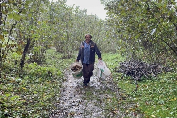 Uludağ eteklerinden gelen s&uuml;rpriz &uuml;r&uuml;n: Dengeler değişebilir...