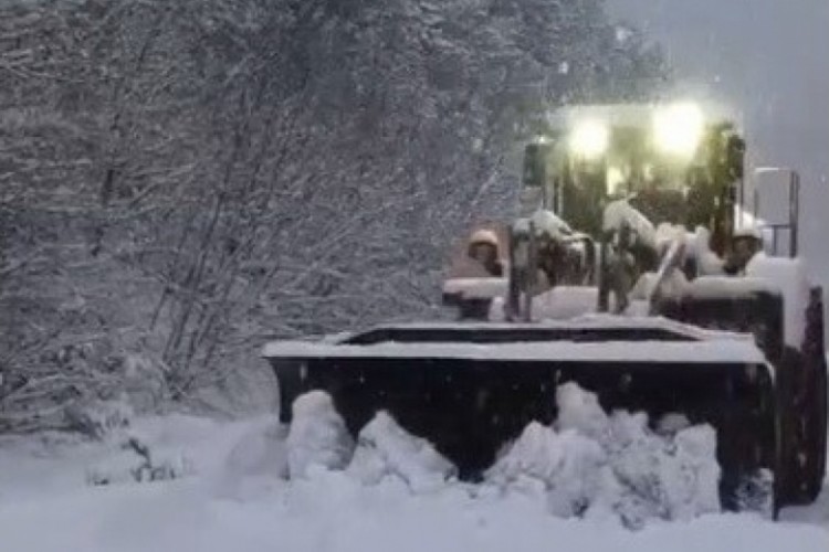 Sinop'ta k&ouml;ylerin y&uuml;zde 42'si kara teslim