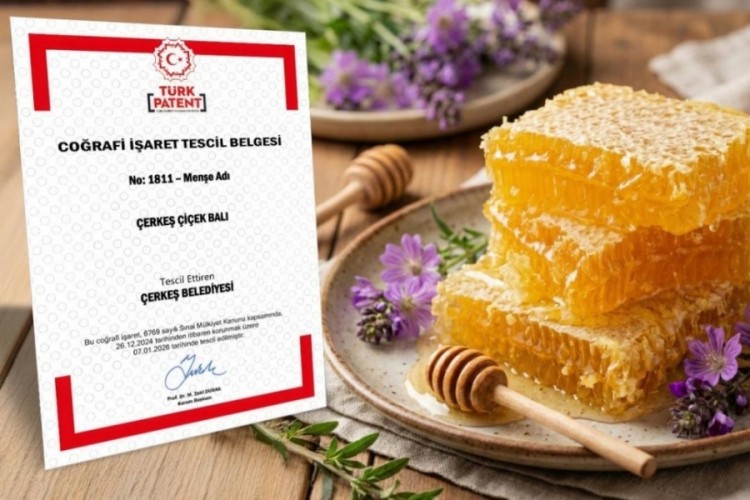 "&Ccedil;erkeş &ccedil;i&ccedil;ek balı" tescillendi