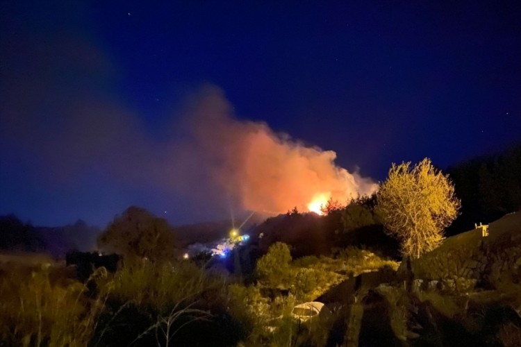 Antalya'da ormanlık alanda yangın &ccedil;ıktı