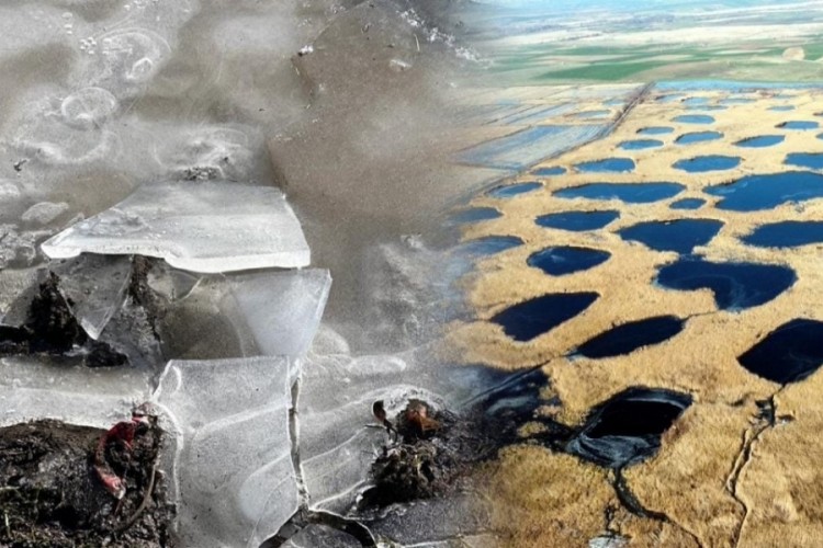Sıcaklığın eksi 8 dereceye d&uuml;şt&uuml;ğ&uuml; Edirne'de, Tunca Nehri ve g&ouml;let buz tuttu