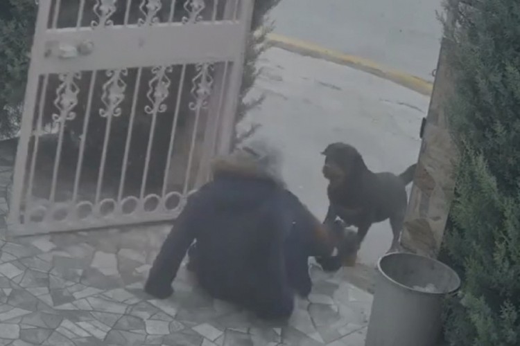 Ankara'da sahipsiz k&ouml;peklerin saldırısına uğrayan kadın zor kurtuldu