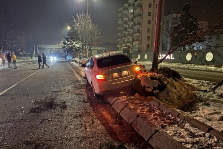 Alkoll&uuml; s&uuml;r&uuml;c&uuml; &ouml;nce ağacı devirdi ardından aydınlatma direğine &ccedil;arptı
