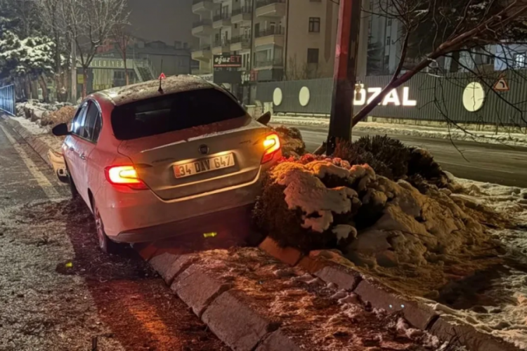 Ağacı devirdi, aydınlatma direğine &ccedil;arptı! Alkoll&uuml; s&uuml;r&uuml;c&uuml; ortalığı birbirine kattı