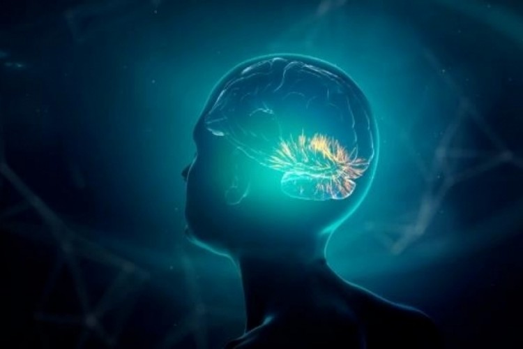 Sürekli şikayet etmek beyni fiziksel olarak etkiliyor!