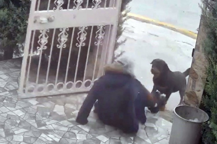 Yolda y&uuml;r&uuml;rken neye uğradığını şaşırdı!