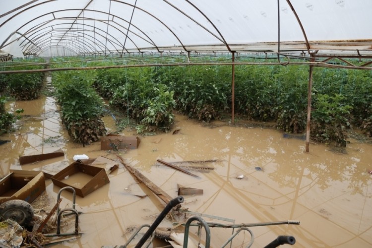 Antalya'da yağıştan etkilenen 3 il&ccedil;e i&ccedil;in hasar tespit &ccedil;alışması başlattı