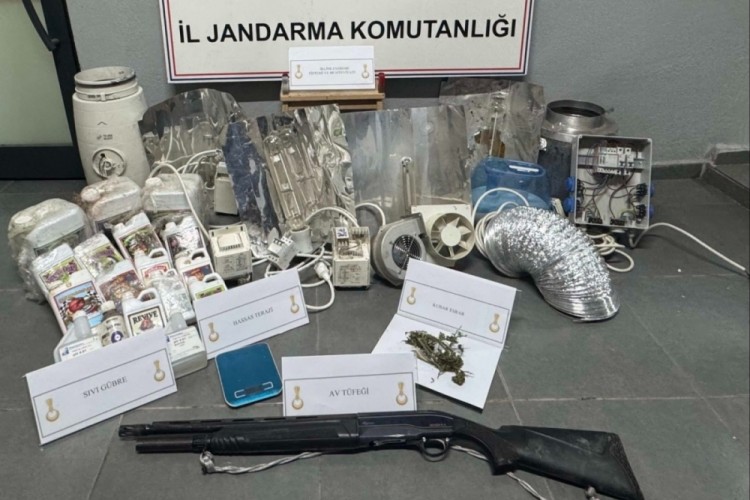 Evinin &ccedil;atısına kenevir bah&ccedil;esi kuran 1 şahıs yakalandı