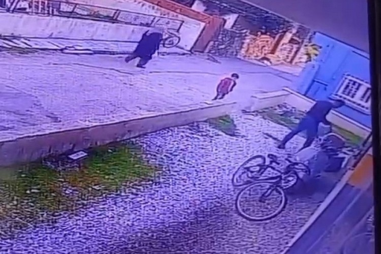 Sosyal medya ayağa kalktı: "Paşa"yı çocuklarının gözü önünde ezerek öldürdü...