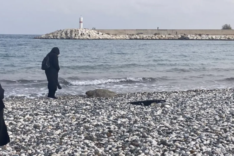 15 g&uuml;n i&ccedil;inde 7 &ouml;l&uuml;! Uzmanlar yine tek bir noktayı işaret etti...