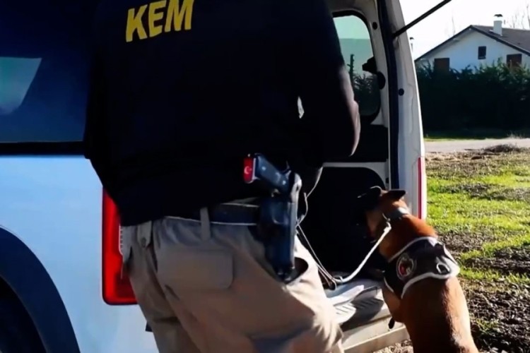 Bolu'da 14 adrese uyuşturucu operasyonu: 3 tutuklama