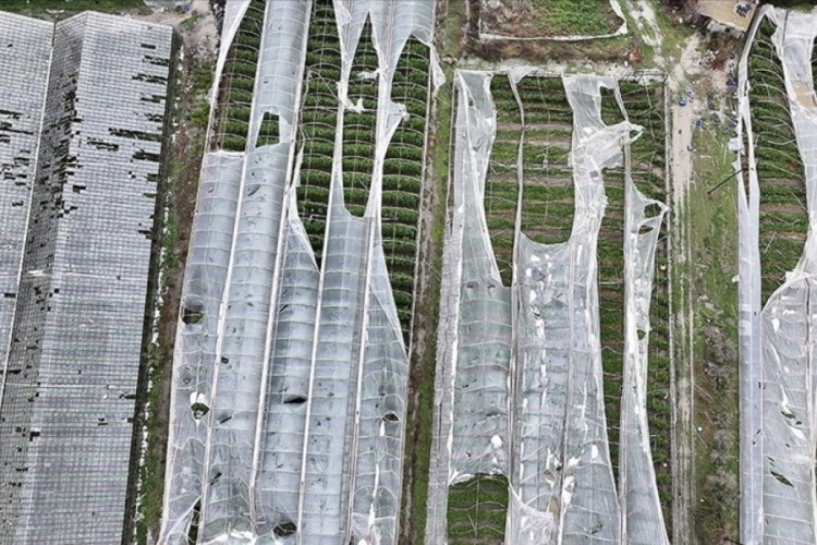 Muğla'da hortum seralara b&uuml;y&uuml;k zarar verdi