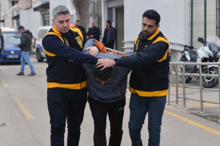 Kediyi ezen s&uuml;r&uuml;c&uuml;ye 1 ay hayvan barınağında &ccedil;alışma cezası