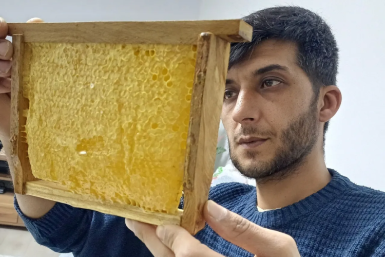 Araban'da &uuml;retiliyor! Kilosu 1.000 liradan yok satıyor