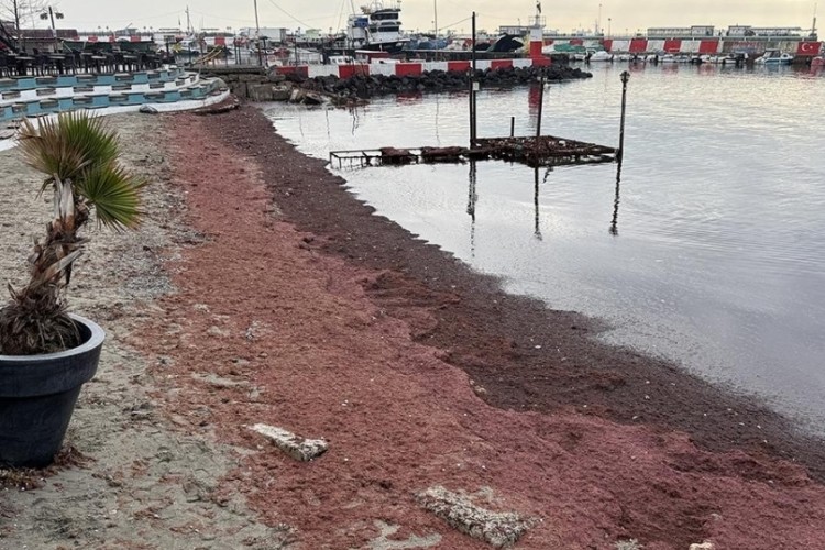 Tekirdağ'da sahil kırmızıya b&uuml;r&uuml;nd&uuml;