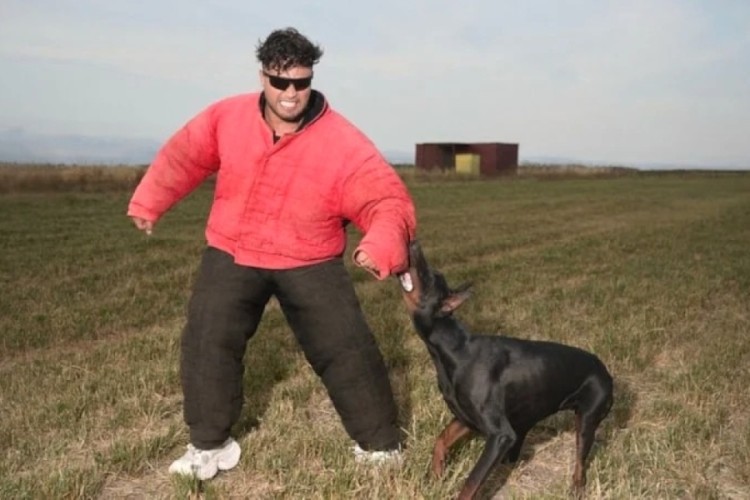 Lvbel C5 imaj yeniledi! Yine beğenilmedi