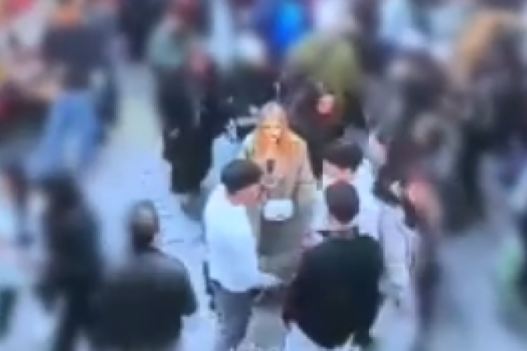 &Ccedil;inli turiste saldıran harnut&ccedil;u g&ouml;zaltına alındı