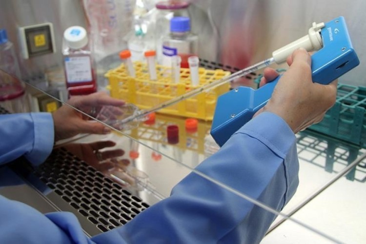 Tıp dünyasında çığır açacak keşif! En ölümcül kanser tü...