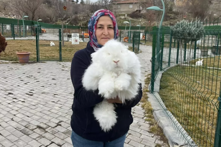 Nesli t&uuml;kenmişti, geri d&ouml;nd&uuml;! Yeniden Ankara'da...
