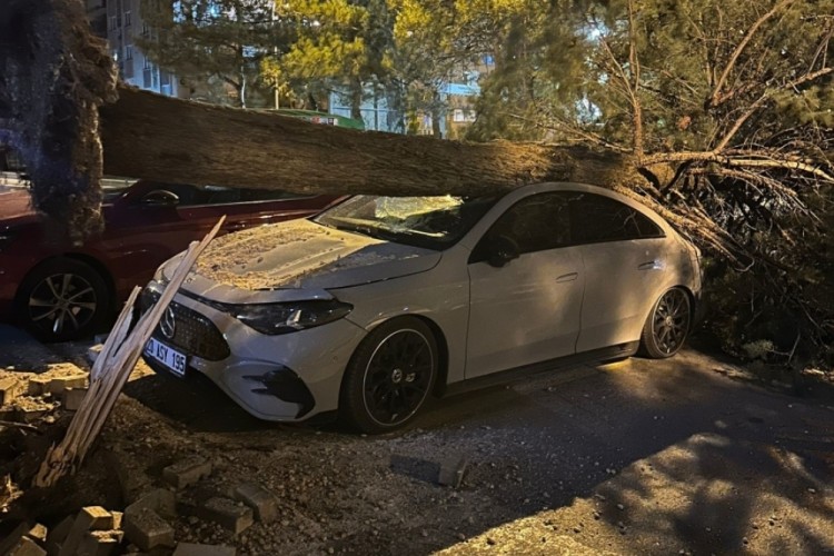 Denizli'de fırtına ağa&ccedil;ları devirdi, &ccedil;atıları u&ccedil;urdu