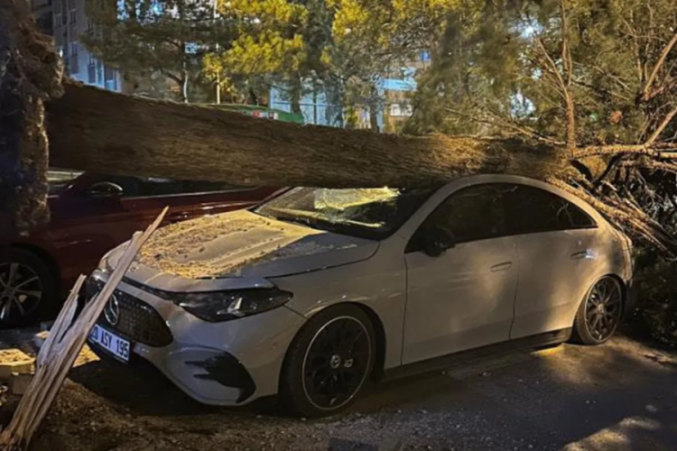 Denizli'yi fırtına vurdu: Ağa&ccedil;lar devrildi, &ccedil;atılar u&ccedil;tu!