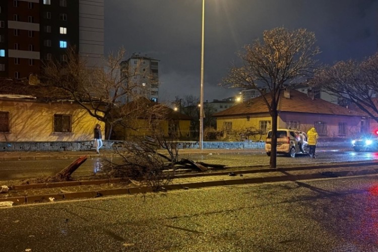 Kaza savrulan otomobil ağacı ikiye b&ouml;ld&uuml;: 4 yaralı