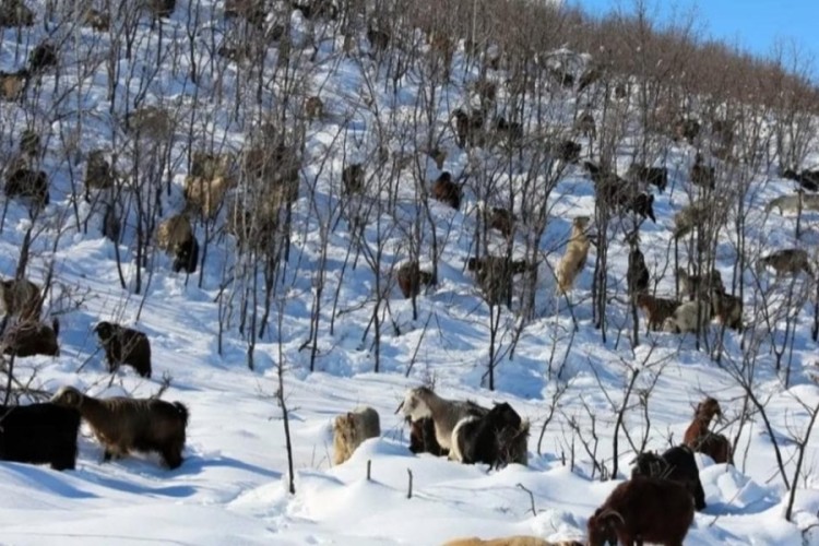 Sahte dekontla 47 ke&ccedil;iyi &ccedil;aldı!