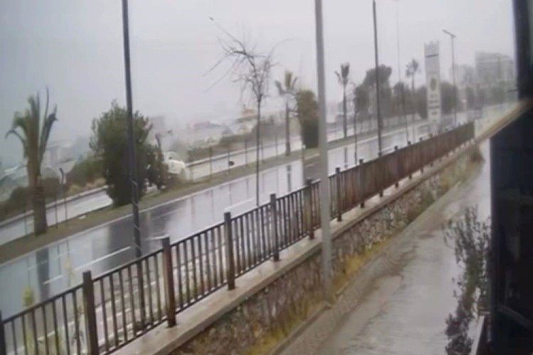 Kontrolden &ccedil;ıkan otomobil ref&uuml;jdeki ağaca &ccedil;arpıp takla attı