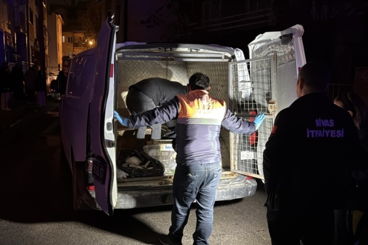 Sivas'ta 2 katlı evde &ccedil;ıkan yangında 26 kedi telef oldu