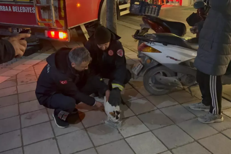 Boş evin balkonunda mahsur kalan kediyi itfaiyeciler kurtardı